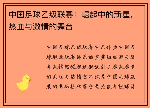 中国足球乙级联赛：崛起中的新星，热血与激情的舞台